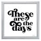 12" x 12" These Are the Days Framed Wall Art, Contemporary Home Décor, Glass Facing and Hanging Hardware Included